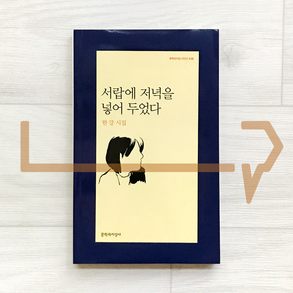 I Put The Evening In The Drawer by Han Kang 서랍에 저녁을 넣어 두었다