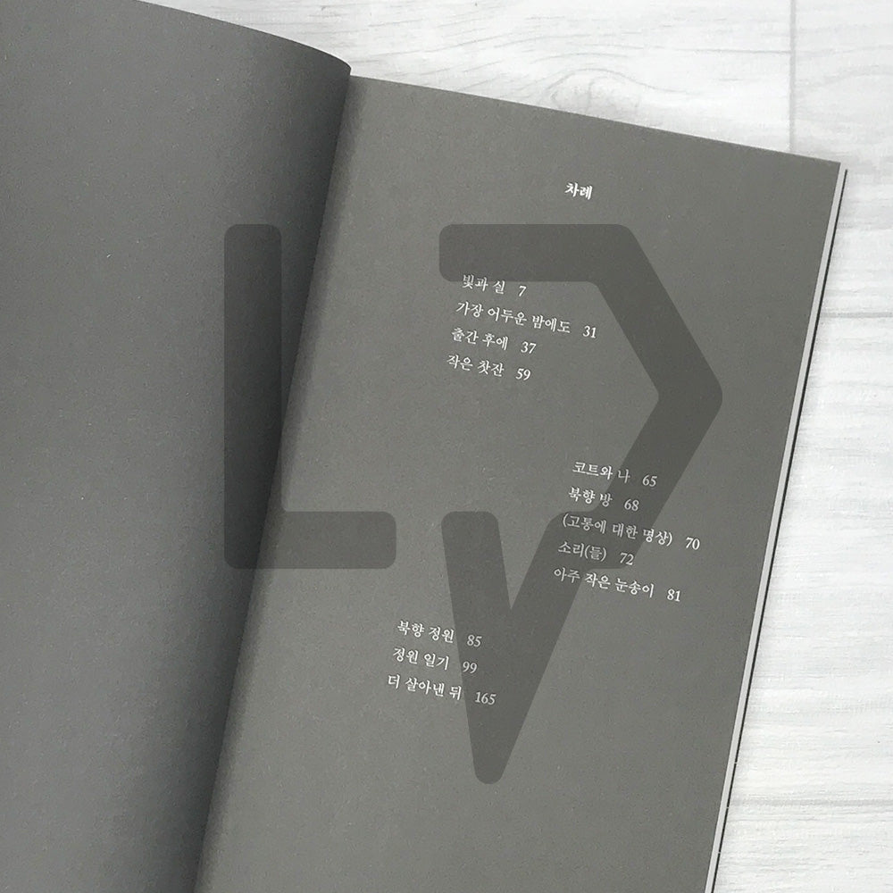 Light and Thread by Han Kang 빛과 실