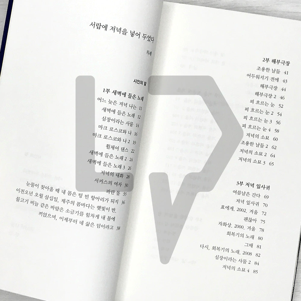 I Put The Evening In The Drawer by Han Kang 서랍에 저녁을 넣어 두었다