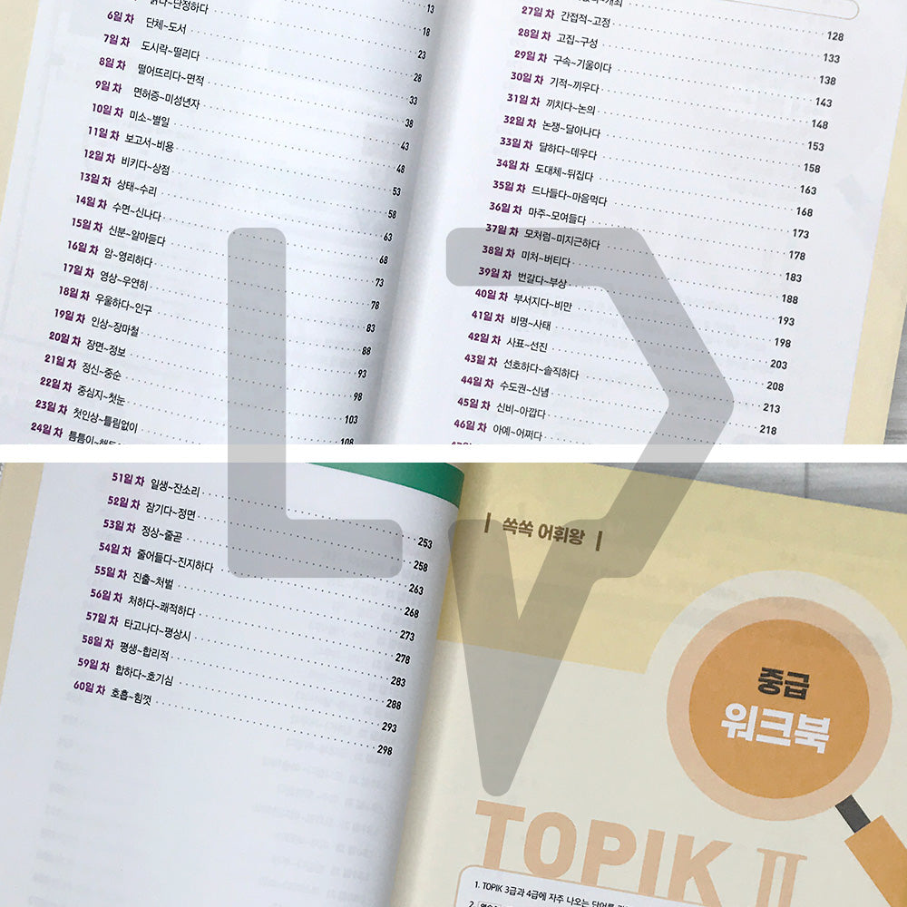 King of Korean Vocabulary TOPIK 2 Intermediate Dictionary Workbook 쏙쏙 한국어 어휘왕 토픽 2 중급 단어사전 문제집