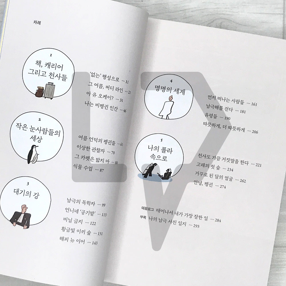 My Polar Journal 나의 폴라 일지