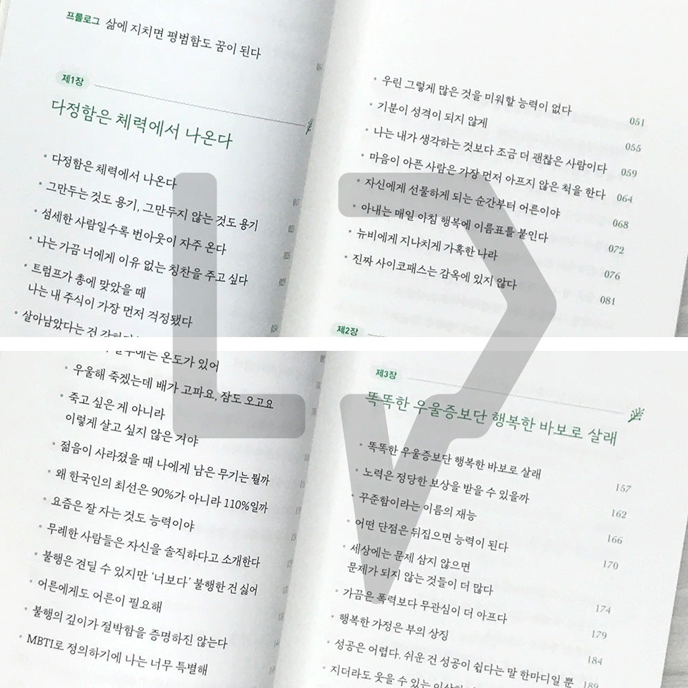 Adult Happiness is Quiet 어른의 행복은 조용하다