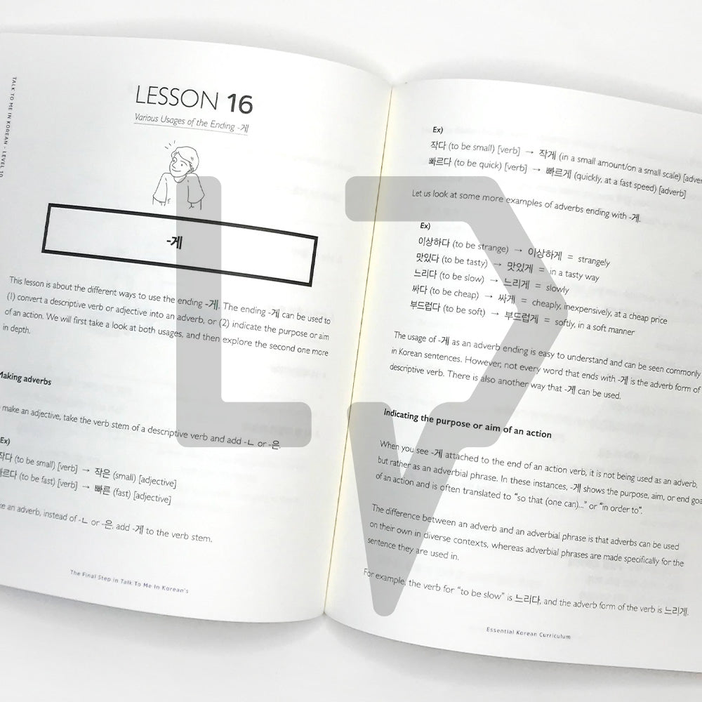 Talk To Me In Korean (TTMIK) Grammar Textbook Level 10 - Life Pattern Korea
