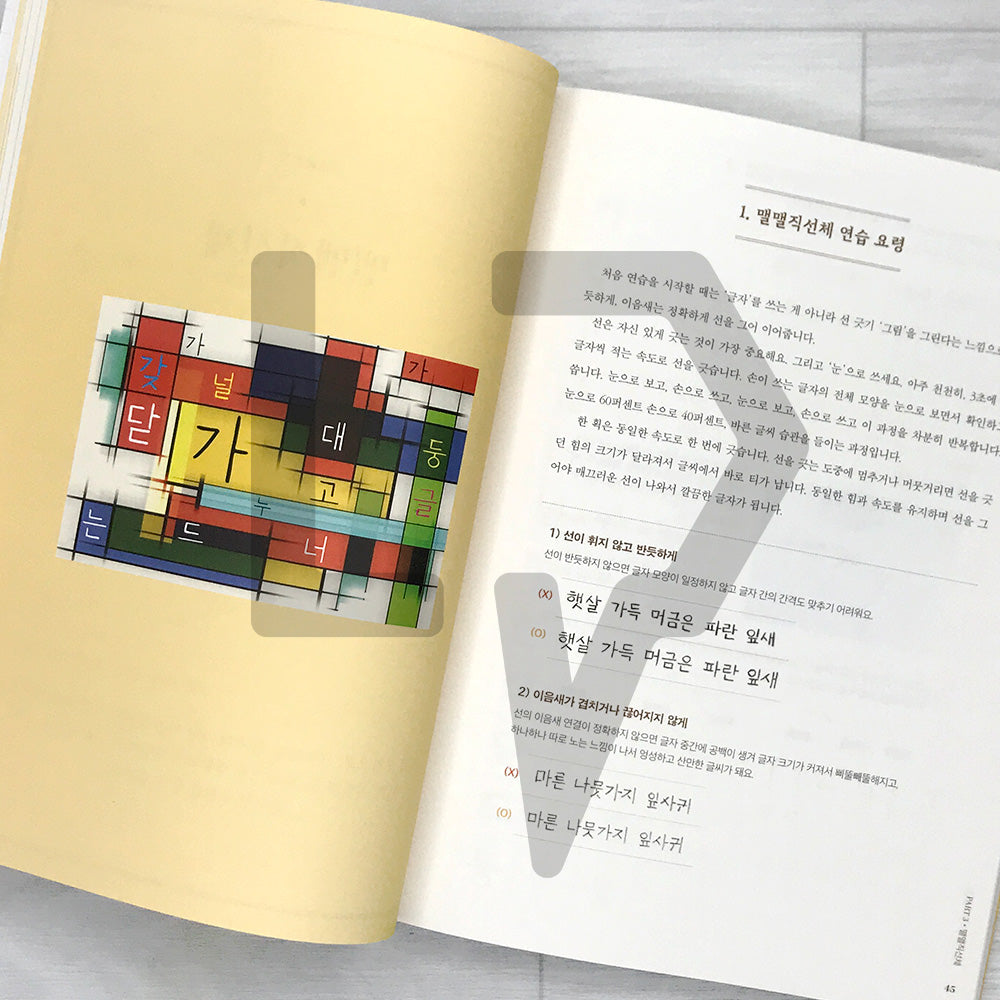 MaelMaelChaekirang Daily Handwriting Class 맬맬책이랑 손글씨 수업