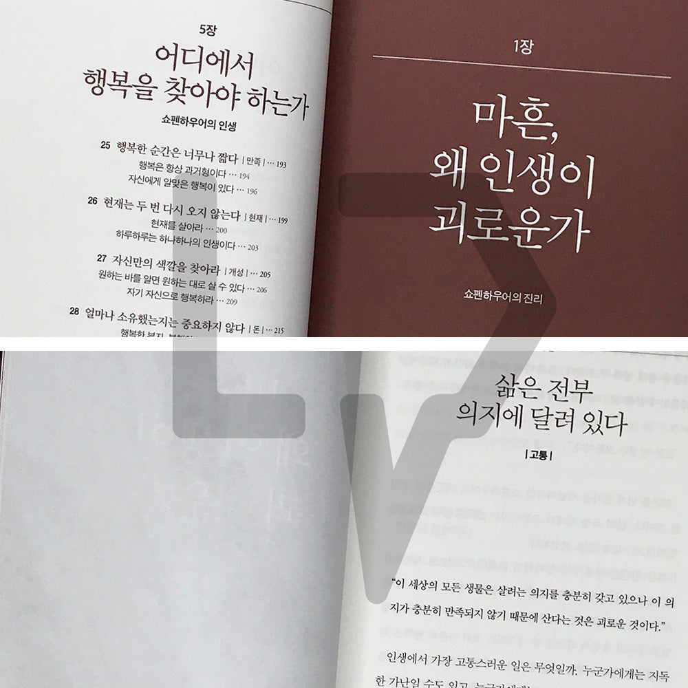 Schopenhauer at Forty: A Philosophy Lesson for Overcoming Life’s Crises 마흔에 읽는 쇼펜하우어