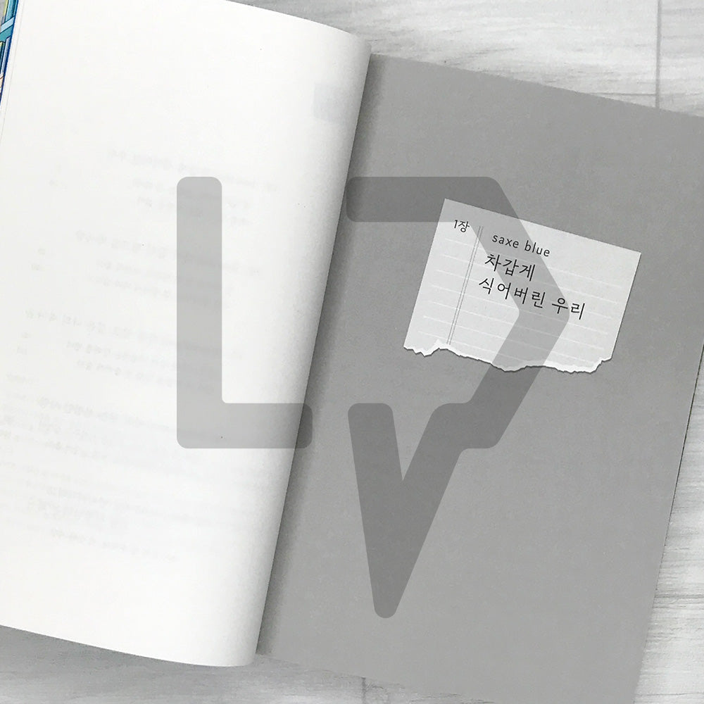 Our Secret Diary (Korean Edition) 말하고 싶은 비밀 Vol. 3 - Life Pattern Korea