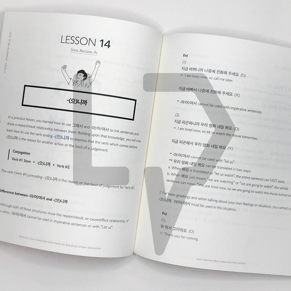 Talk To Me In Korean (TTMIK) Grammar Textbook Level 5 - Life Pattern Korea