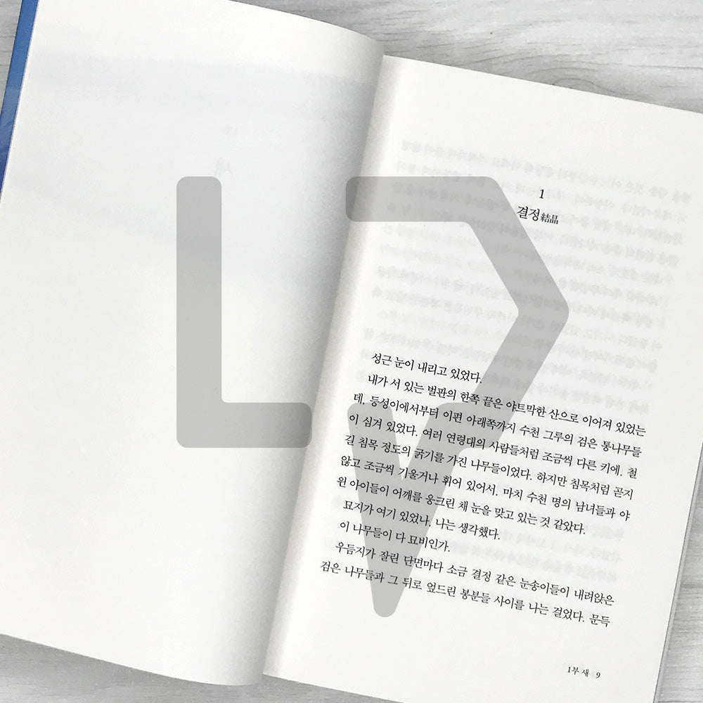 We Do Not Part by Han Kang 작별하지 않는다