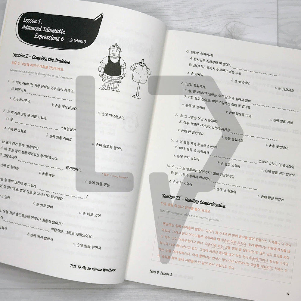 Talk To Me In Korean (TTMIK) Workbook Level 9 - Life Pattern Korea