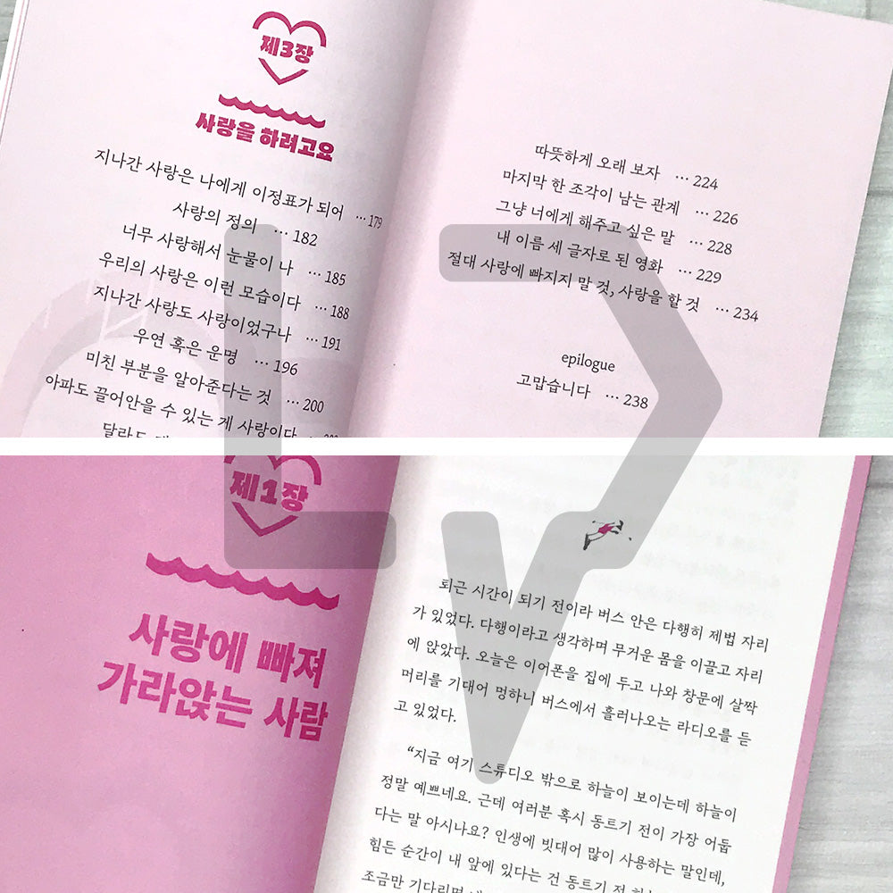 Never Fall in Love, Just Love 사랑에 빠지지 말 것 사랑을 할 것