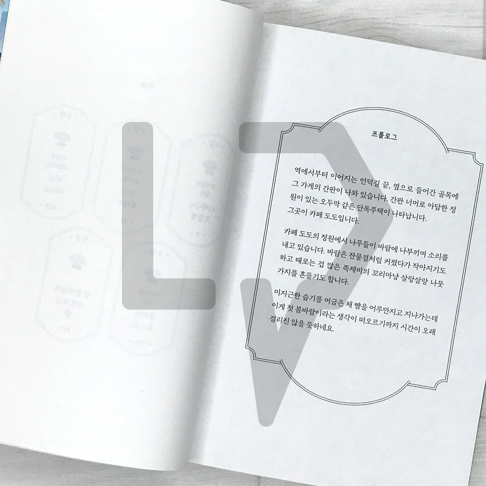 When You Come to Cafe Dodo, the Rain in Your Heart Stops (On a tiring day, take shelter from the rain at Cafe Dodo) 카페 도도에 오면 마음의 비가 그칩니다 - Life Pattern Korea