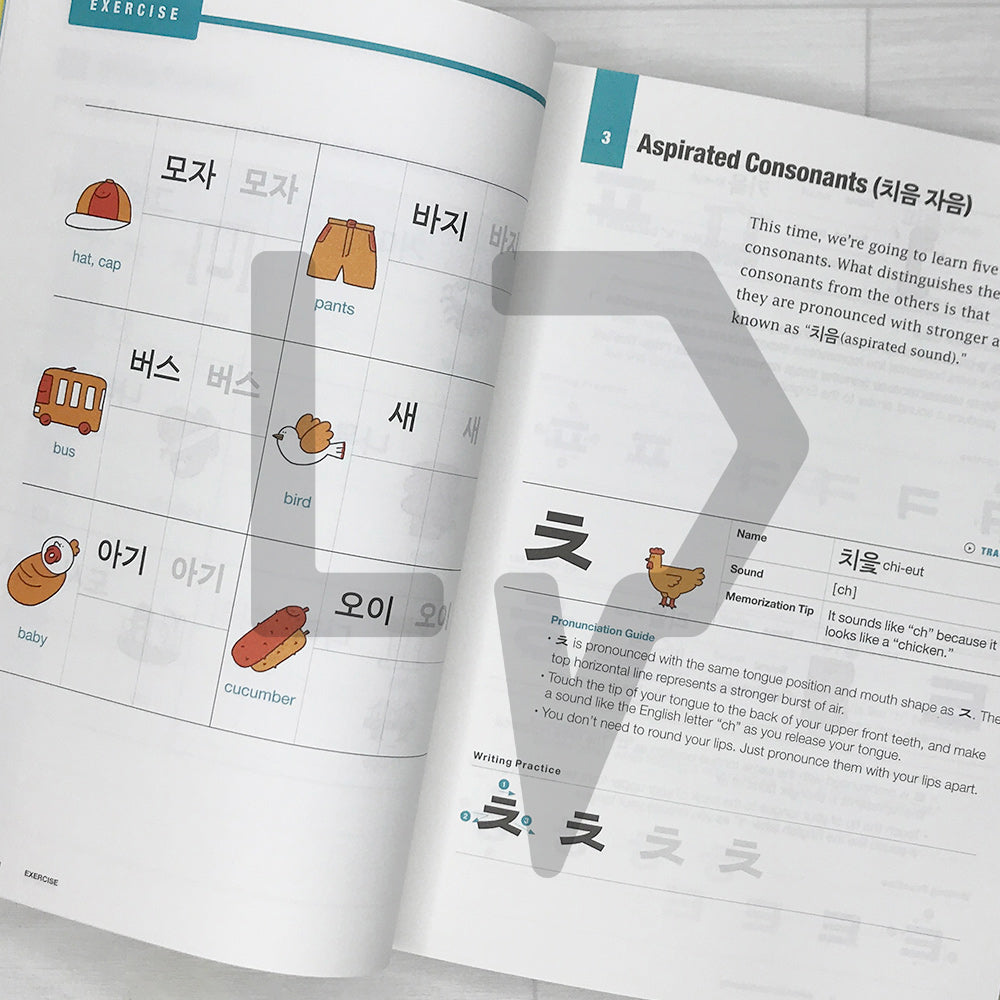 All-You-Need KOREAN for Absolute Beginners