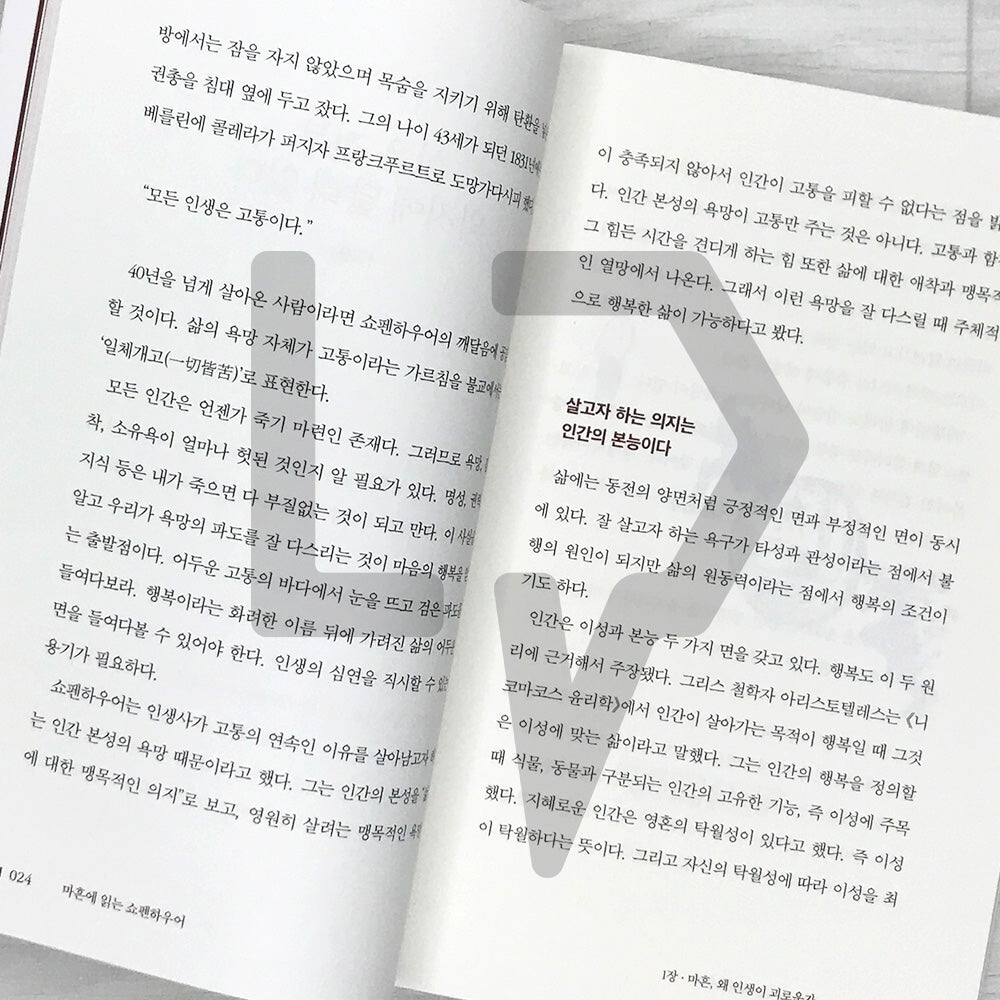 Schopenhauer at Forty: A Philosophy Lesson for Overcoming Life’s Crises 마흔에 읽는 쇼펜하우어