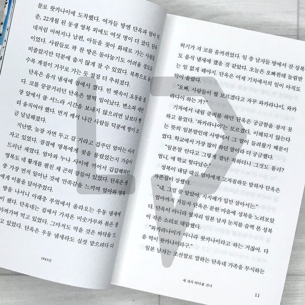 Cracks of Sorrow 슬픔의 틈새
