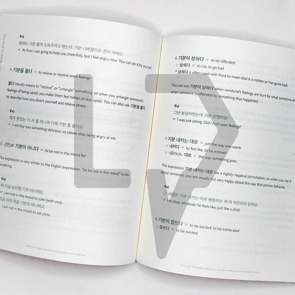 Talk To Me In Korean (TTMIK) Grammar Textbook Level 9 - Life Pattern Korea