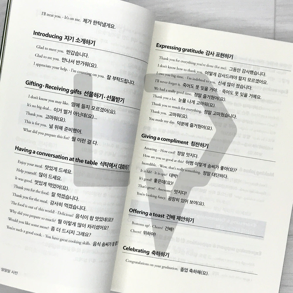 Korean Functional Speaking Grammar Dictionary (Korean Malmalmal Dictionary) Korean 말말말 사전