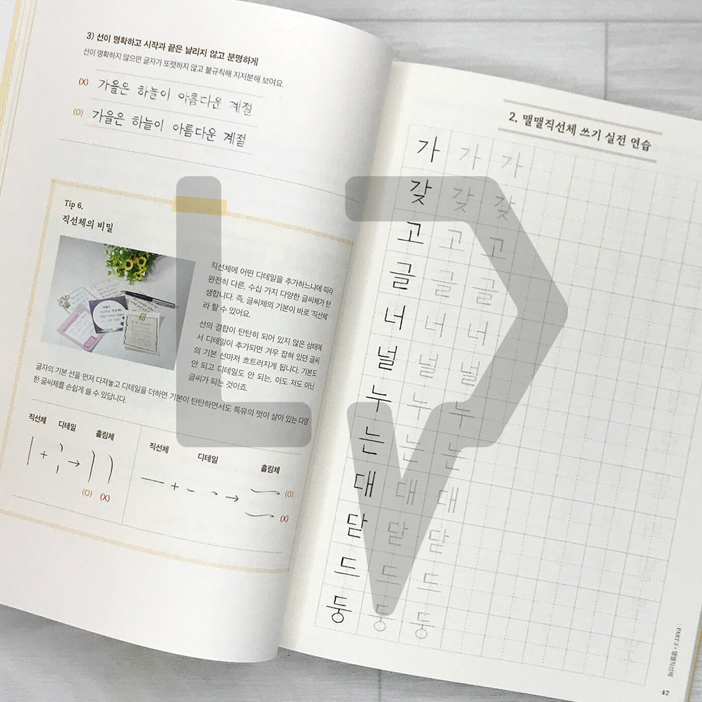MaelMaelChaekirang Daily Handwriting Class 맬맬책이랑 손글씨 수업