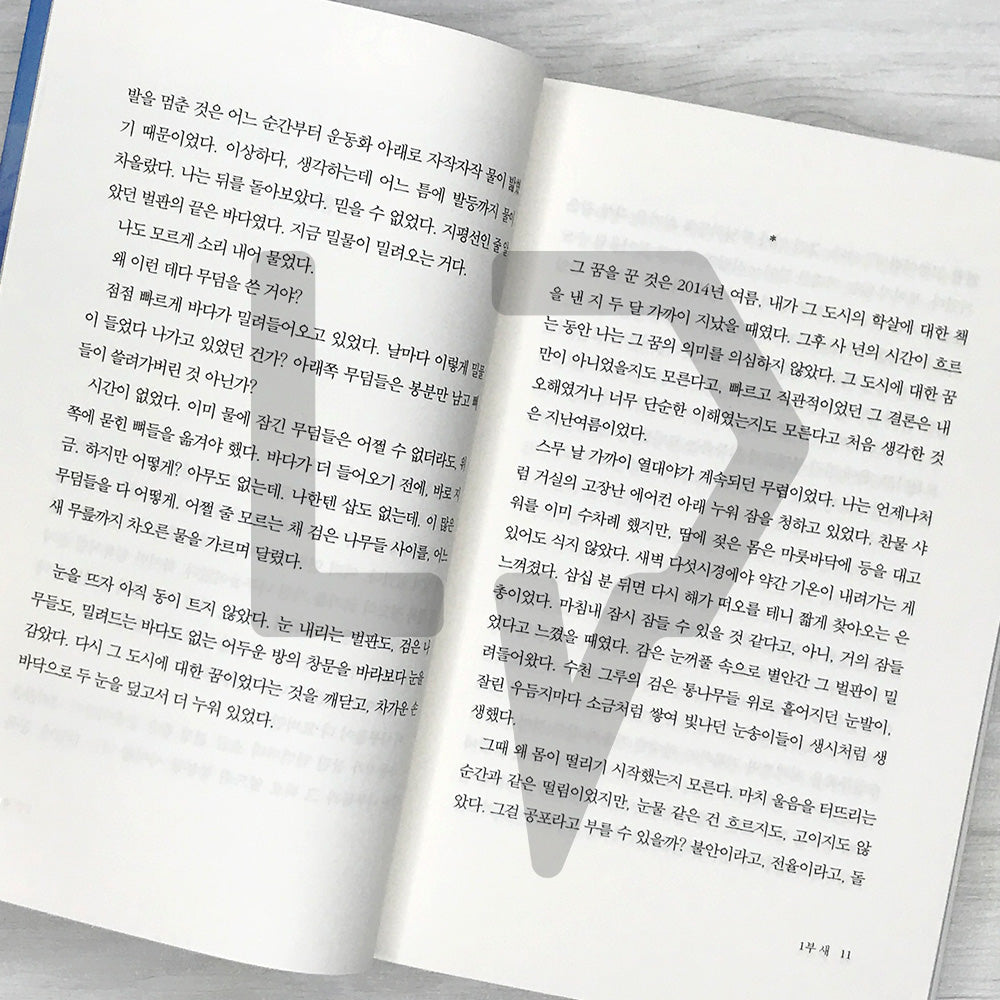 We Do Not Part by Han Kang 작별하지 않는다