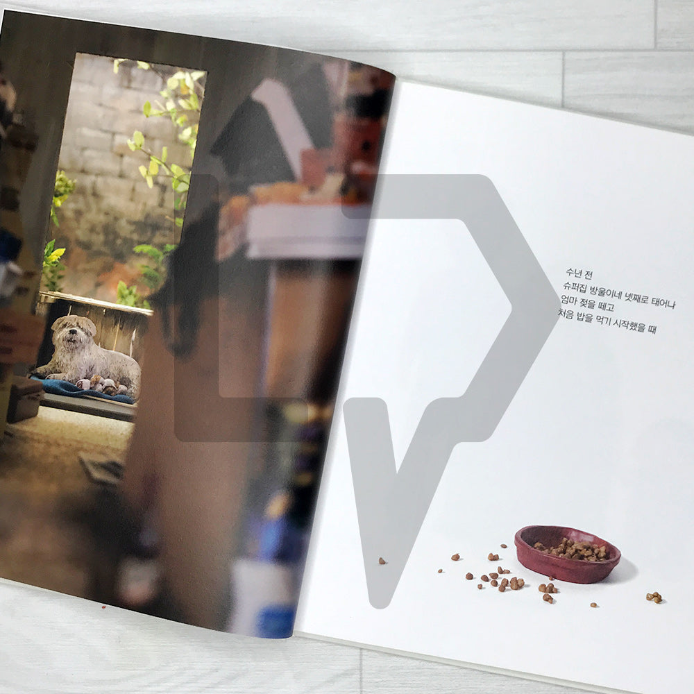 I am a dog 나는 개다 2024 Revised - Life Pattern Korea