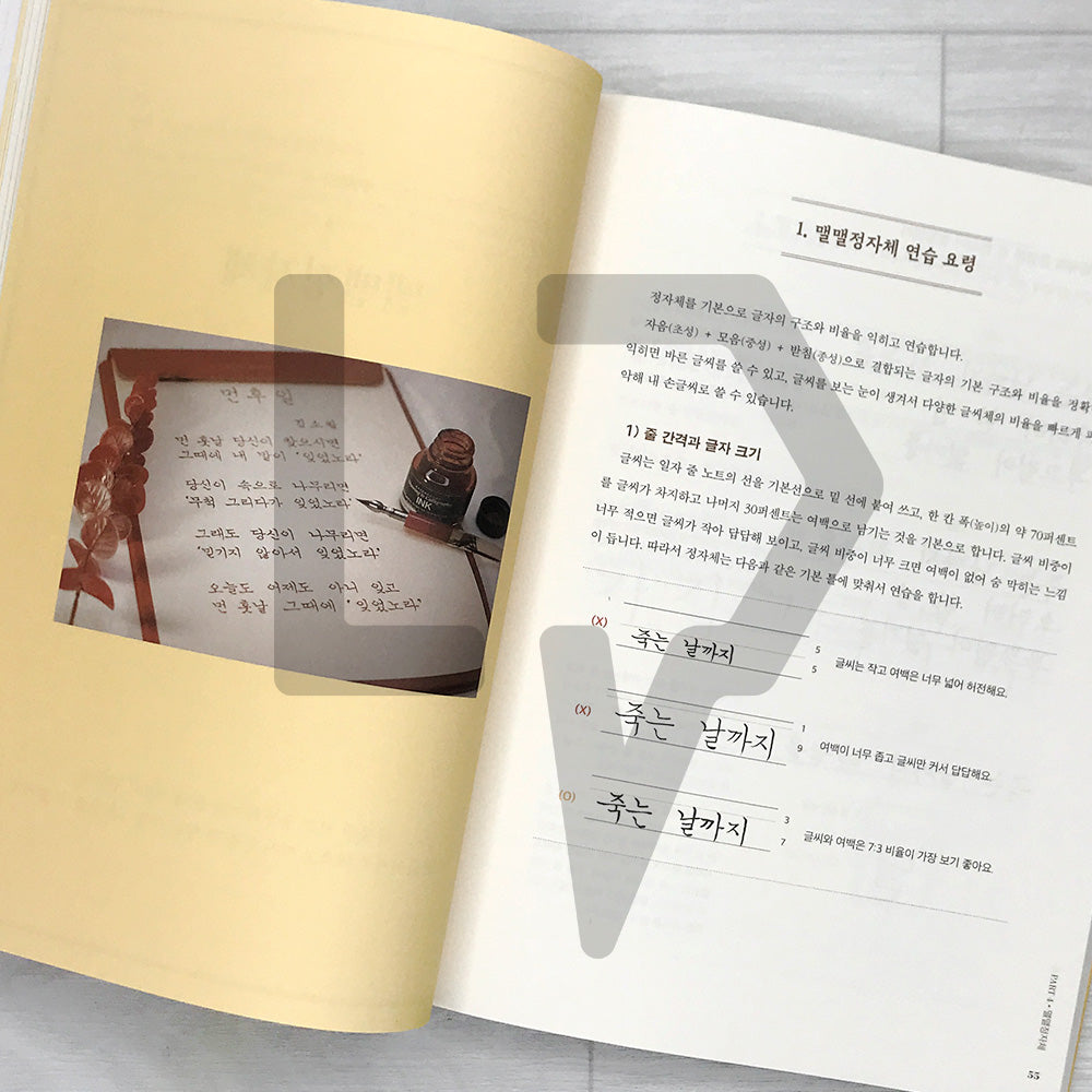 MaelMaelChaekirang Daily Handwriting Class 맬맬책이랑 손글씨 수업