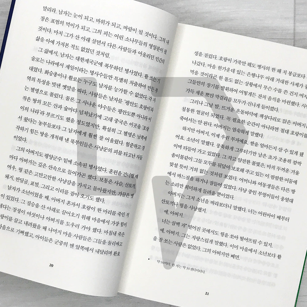 Beasts of a Little Land 작은 땅의 야수들 (2023 Recover)