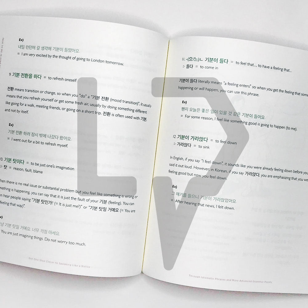 Talk To Me In Korean (TTMIK) Grammar Textbook Level 9 - Life Pattern Korea