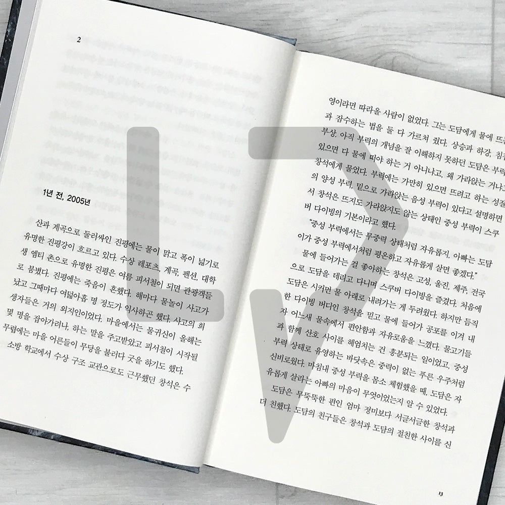 Riptide 급류 - Life Pattern Korea