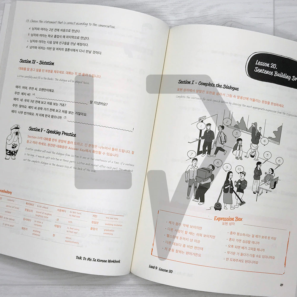 Talk To Me In Korean (TTMIK) Workbook Level 9 - Life Pattern Korea