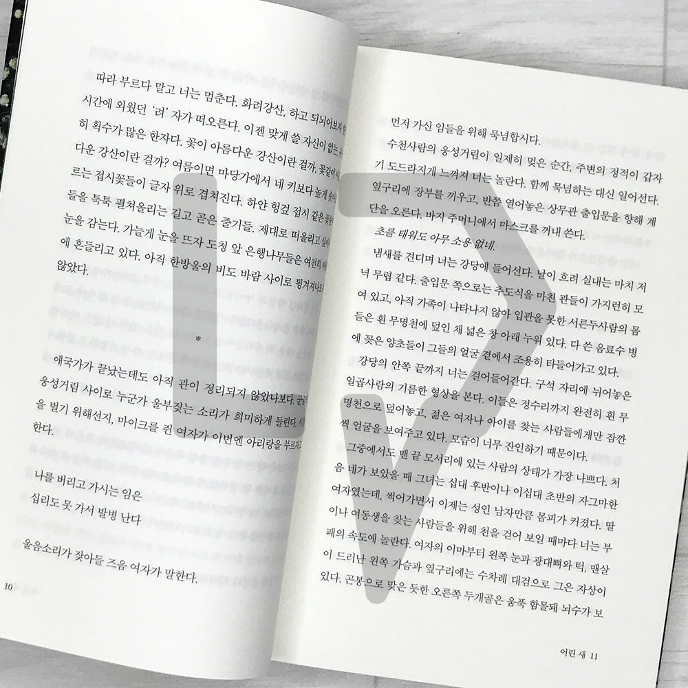 Human Acts by Han Kang 소년이 온다