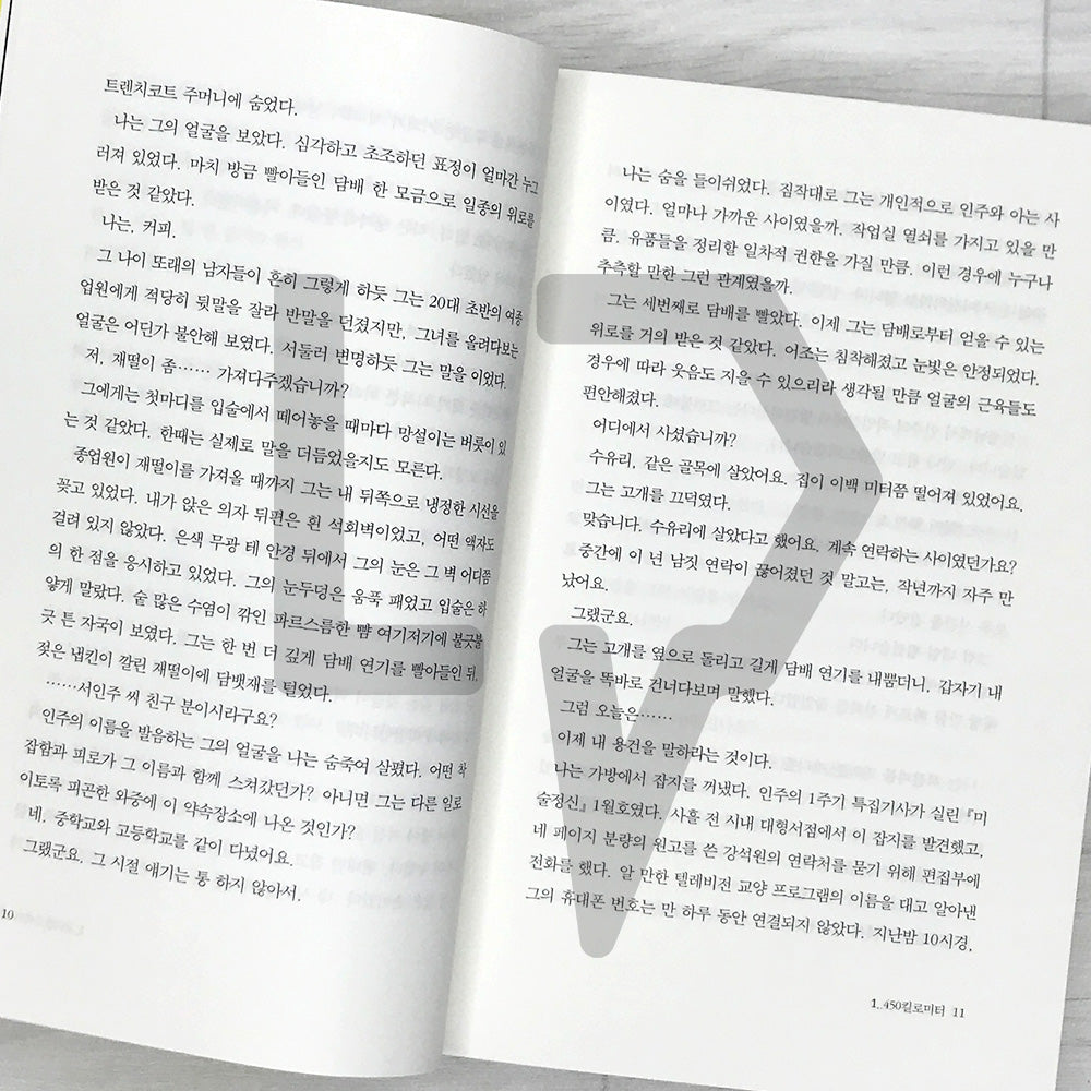 The Wind is Blowing by Han Kang 바람이 분다 가라
