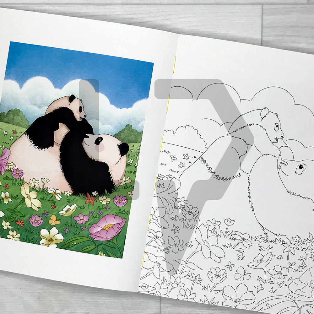 A day in the Bao Family: Coloring Book 바오패밀리 컬러링북 어떤 하루