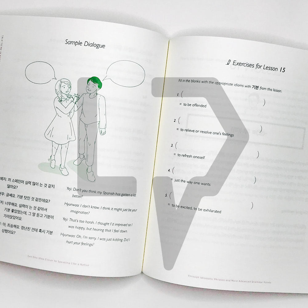 Talk To Me In Korean (TTMIK) Grammar Textbook Level 9 - Life Pattern Korea