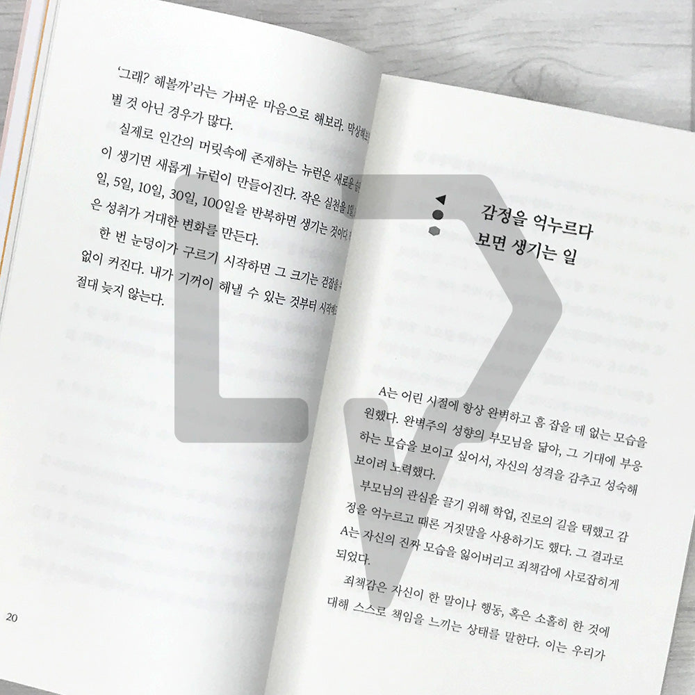 How Grown-Ups Manage Their Moods 어른의 기분 관리법 - Life Pattern Korea