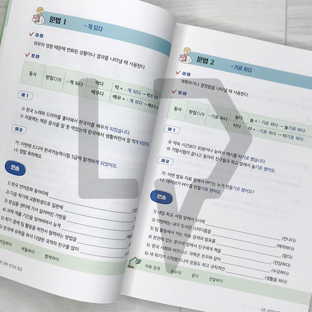 Practical Korean Language for Foreign Students: Intermediate 유학생을 위한 대학 한국어 중급