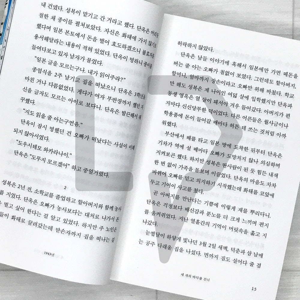 Cracks of Sorrow 슬픔의 틈새
