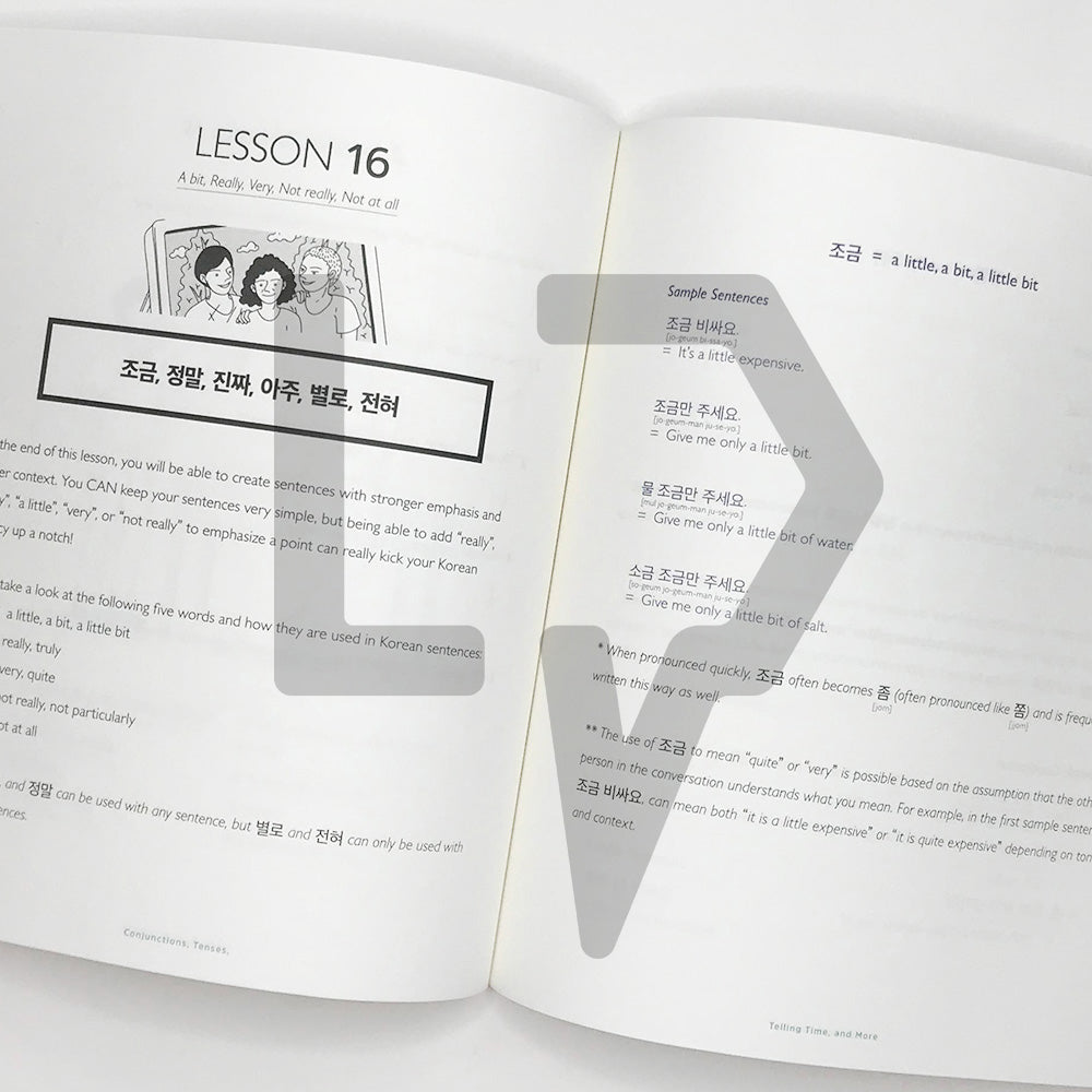 Talk To Me In Korean (TTMIK) Grammar Textbook Level 2 - Life Pattern Korea