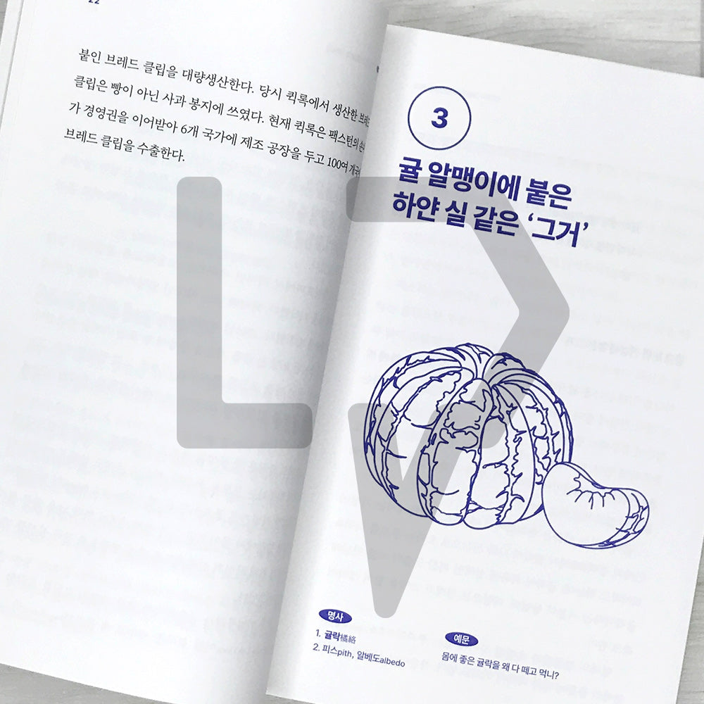 The Things Dictionary 그거 사전 - Life Pattern Korea