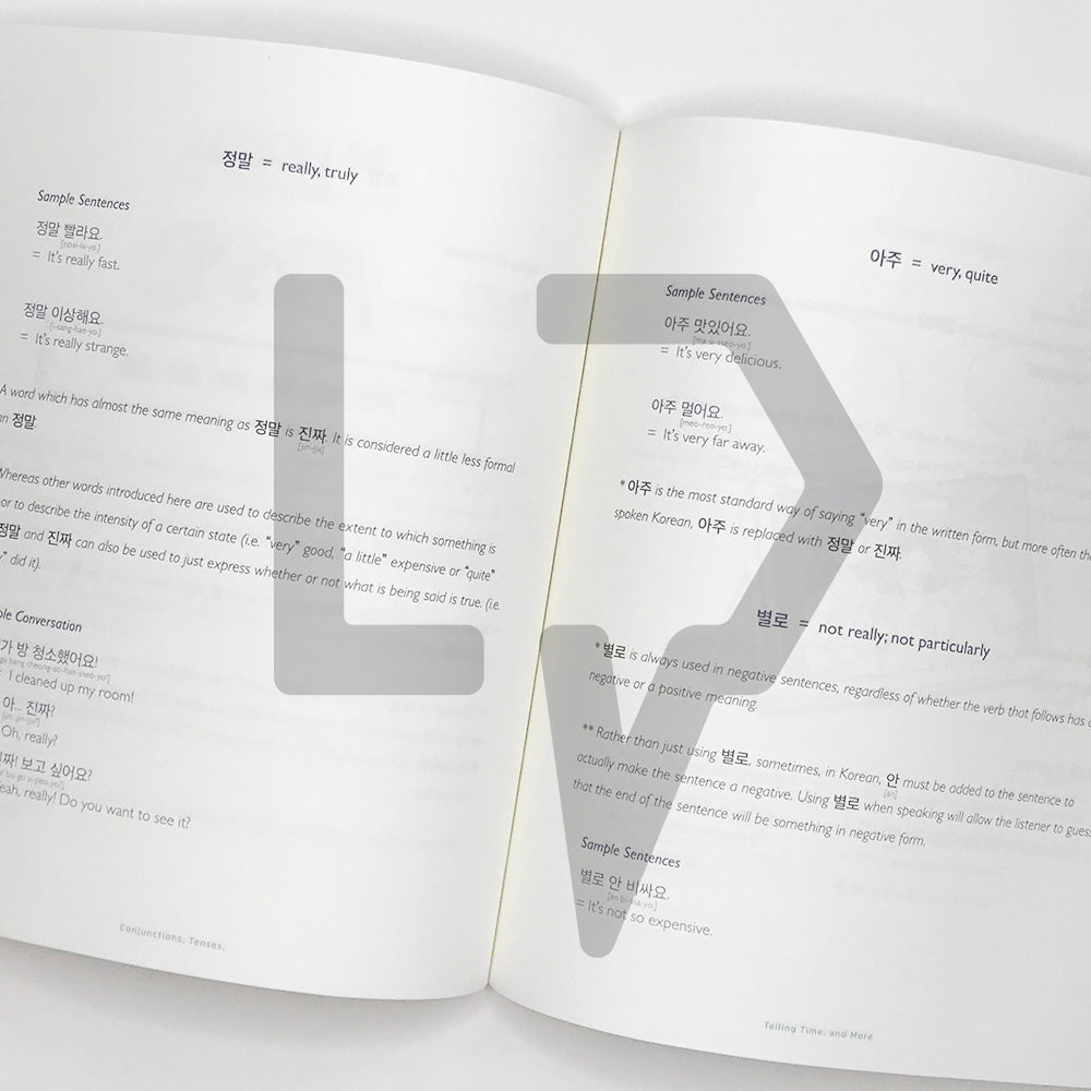 Talk To Me In Korean (TTMIK) Grammar Textbook Level 2 - Life Pattern Korea