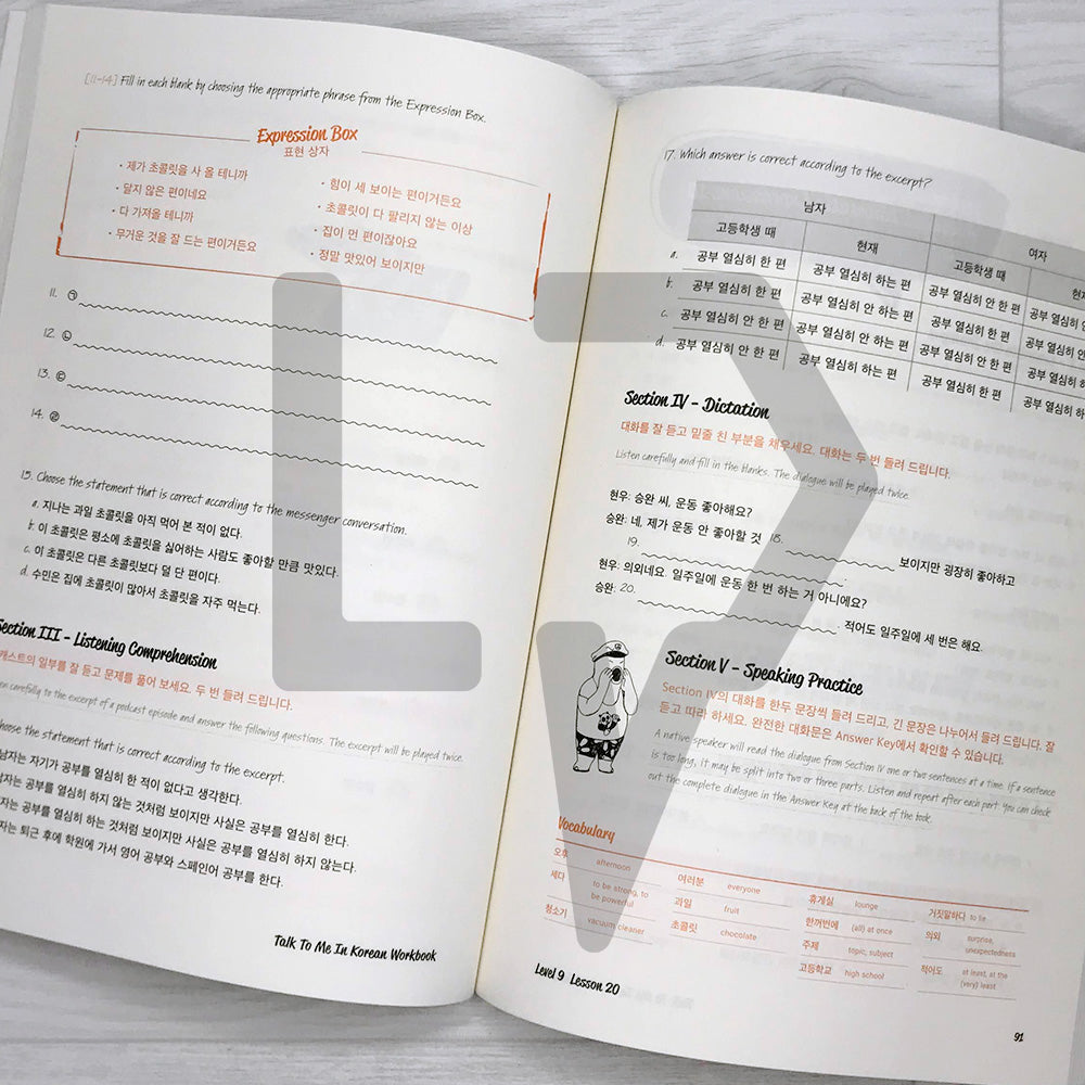 Talk To Me In Korean (TTMIK) Workbook Level 9 - Life Pattern Korea