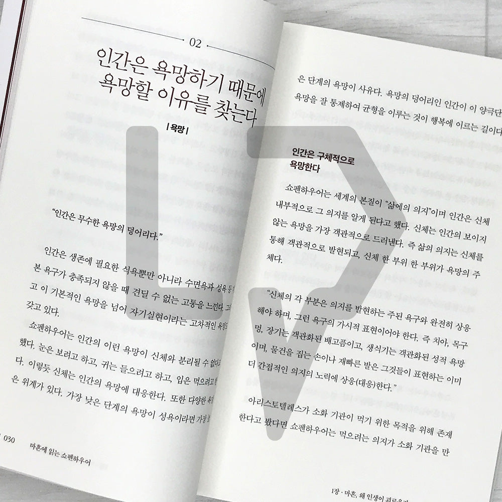 Schopenhauer at Forty: A Philosophy Lesson for Overcoming Life’s Crises 마흔에 읽는 쇼펜하우어