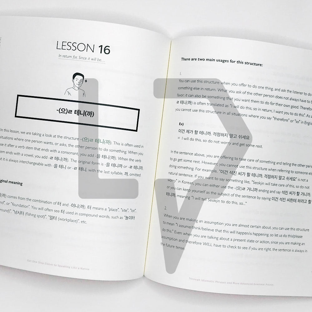 Talk To Me In Korean (TTMIK) Grammar Textbook Level 9 - Life Pattern Korea