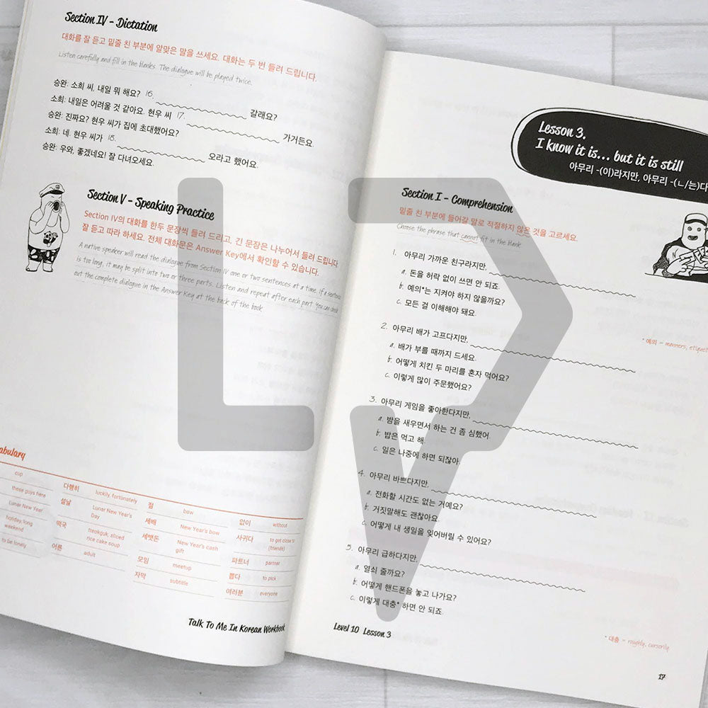 Talk To Me In Korean (TTMIK) Workbook Level 10 - Life Pattern Korea