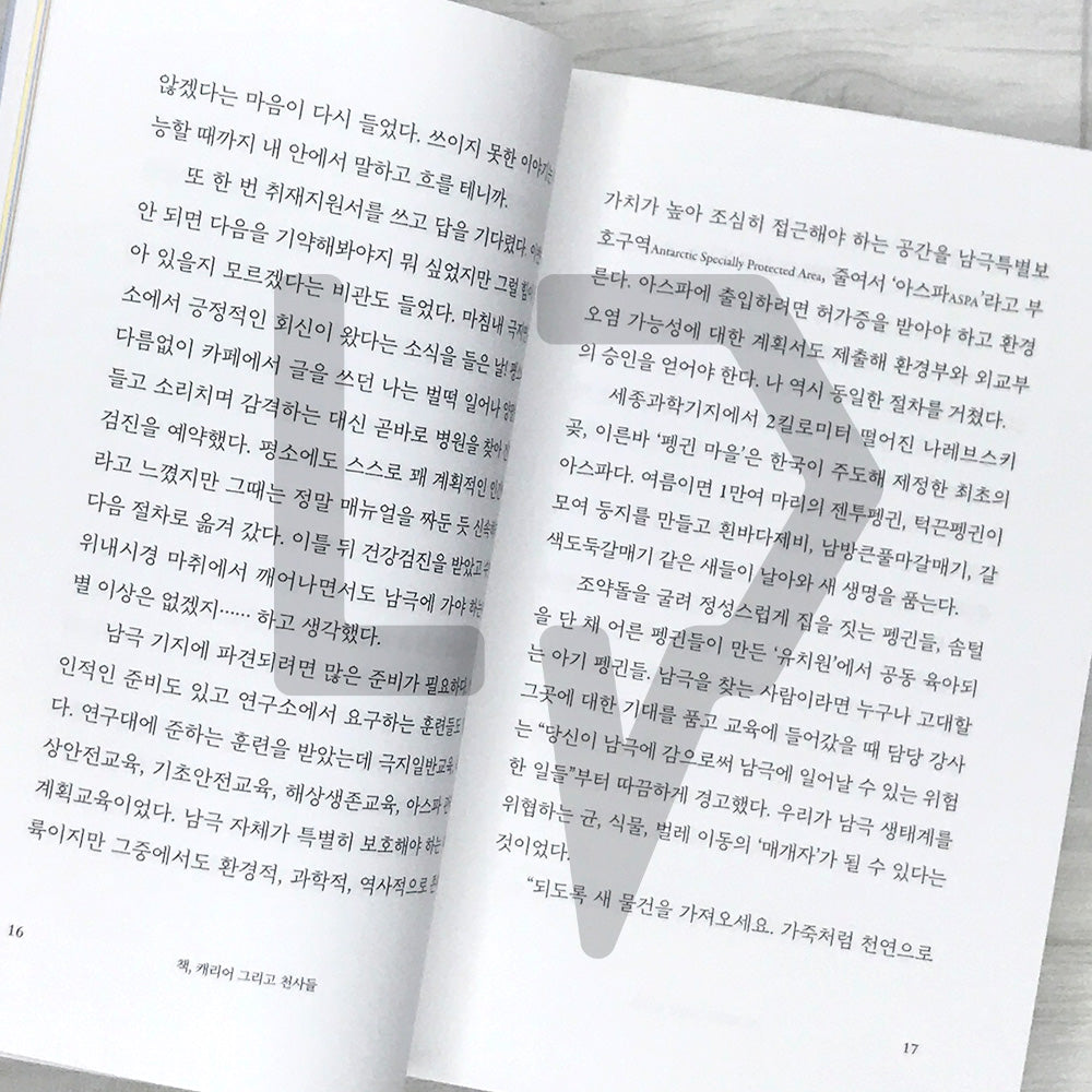 My Polar Journal 나의 폴라 일지