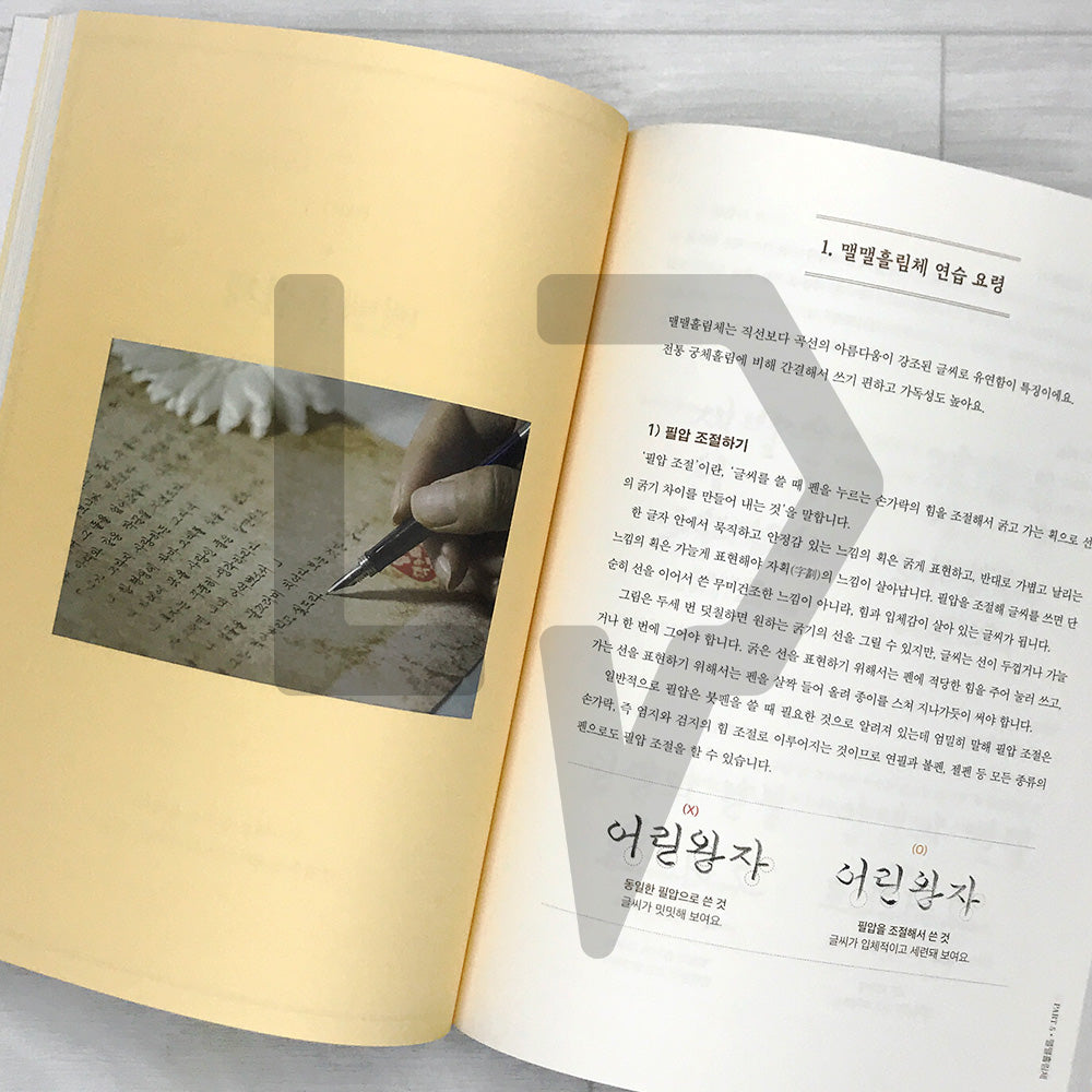 MaelMaelChaekirang Daily Handwriting Class 맬맬책이랑 손글씨 수업