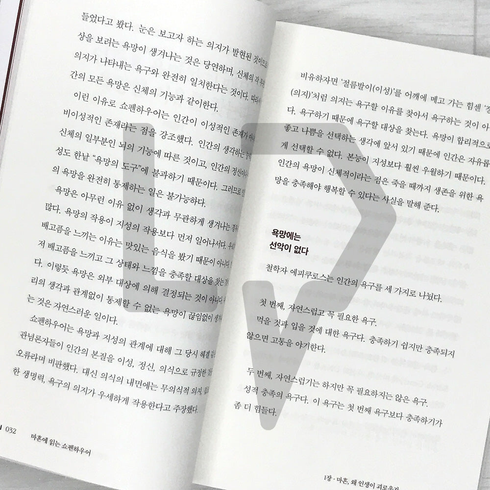 Schopenhauer at Forty: A Philosophy Lesson for Overcoming Life’s Crises 마흔에 읽는 쇼펜하우어