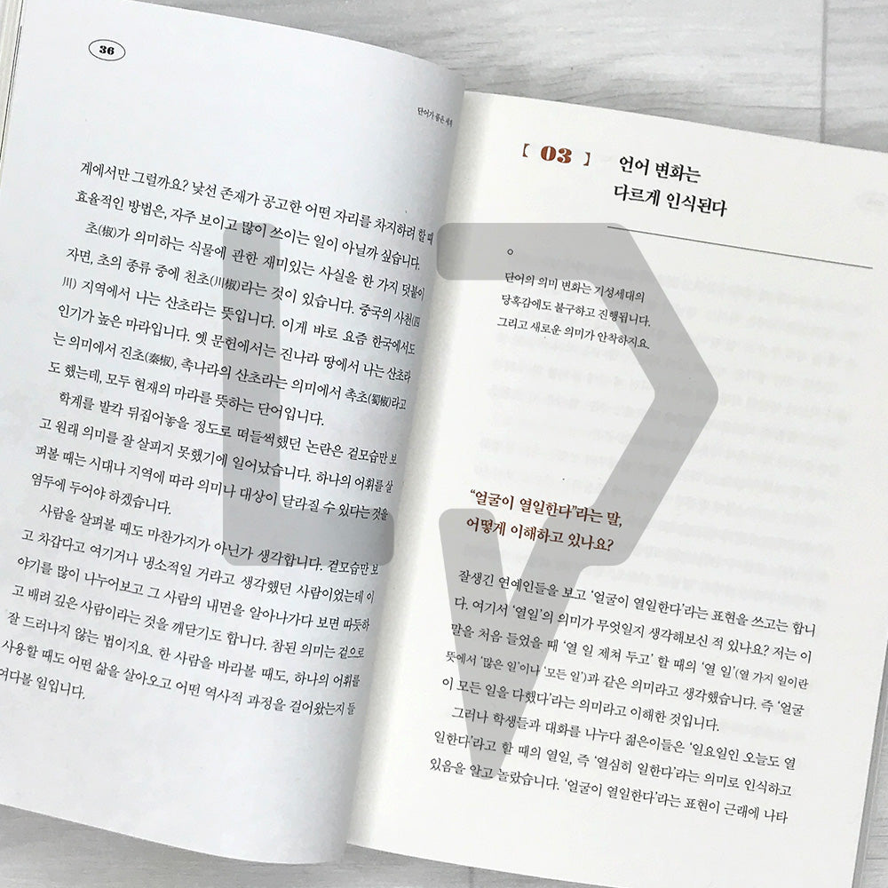The World Embraced by Words 단어가 품은 세계