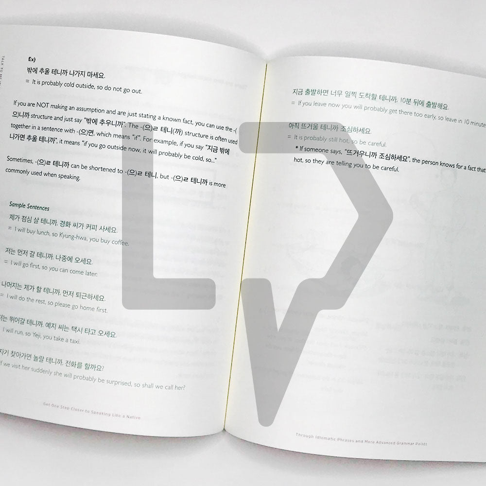 Talk To Me In Korean (TTMIK) Grammar Textbook Level 9 - Life Pattern Korea