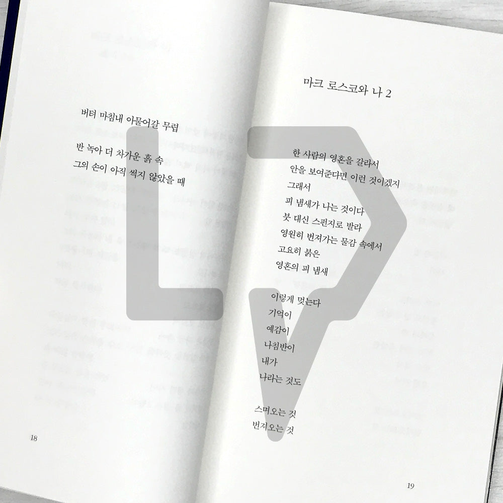 I Put The Evening In The Drawer by Han Kang 서랍에 저녁을 넣어 두었다