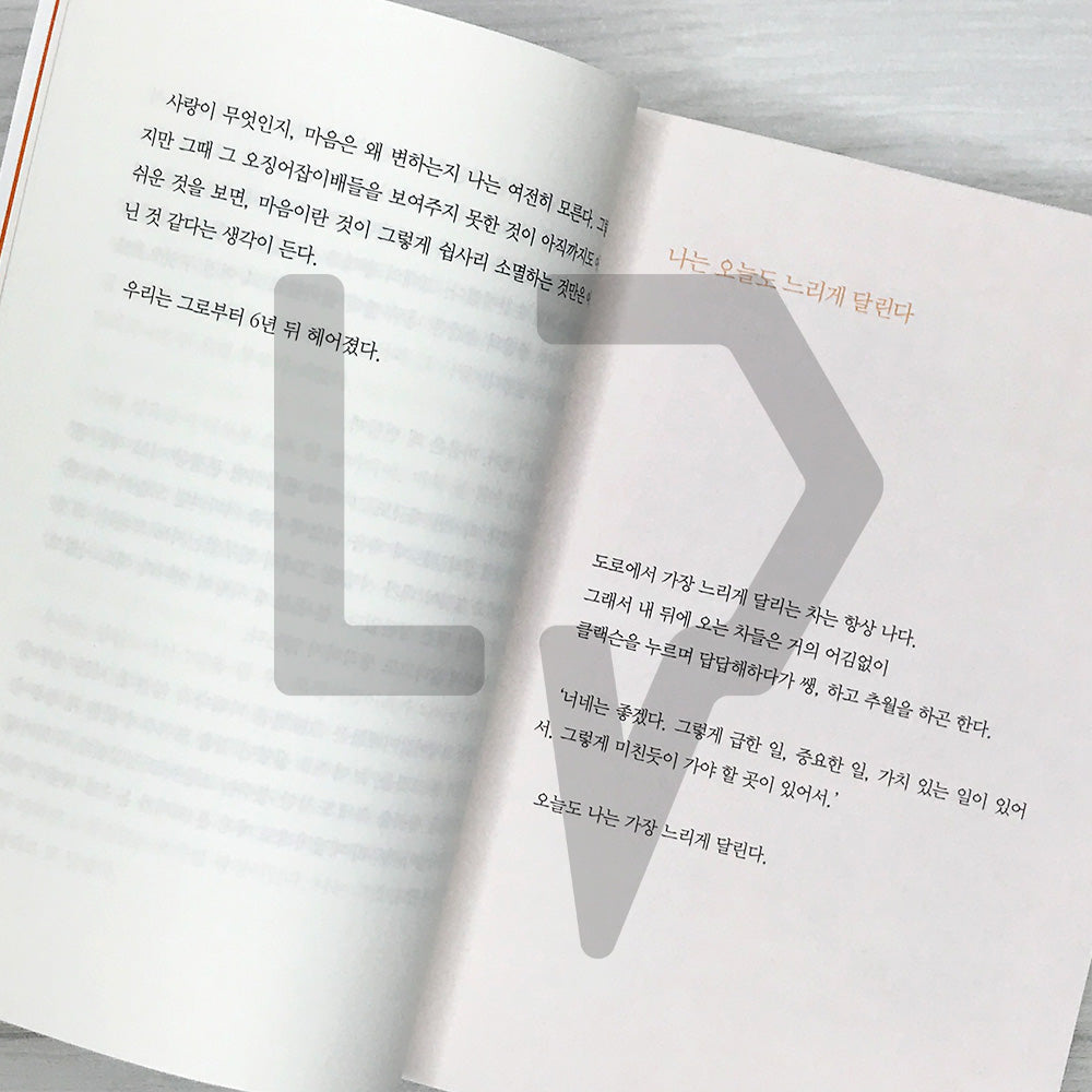 An Ordinary Being 보통의 존재