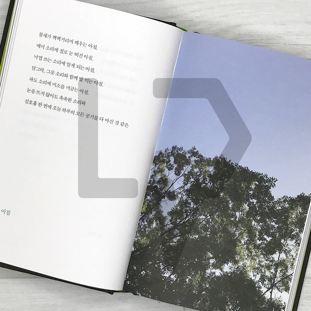 Not Everything Is As It Seems by Kang Min-hyuk (2026 Revised Edition) 다 그런 건 아니야 (개정증보판)